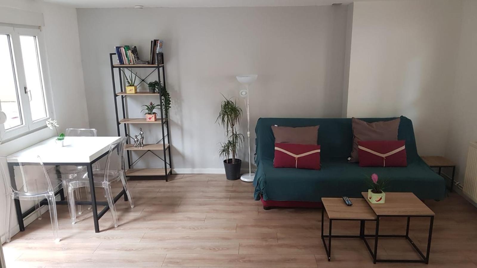 May Lovers Cosy Appart + Terrasse Near City Center 斯特拉斯堡 外观 照片